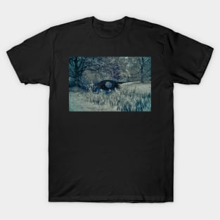 Water under the bridge T-Shirt